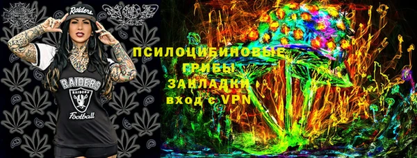 стафф Верхний Тагил